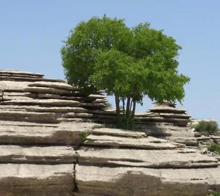 Molino De Saydo 2*